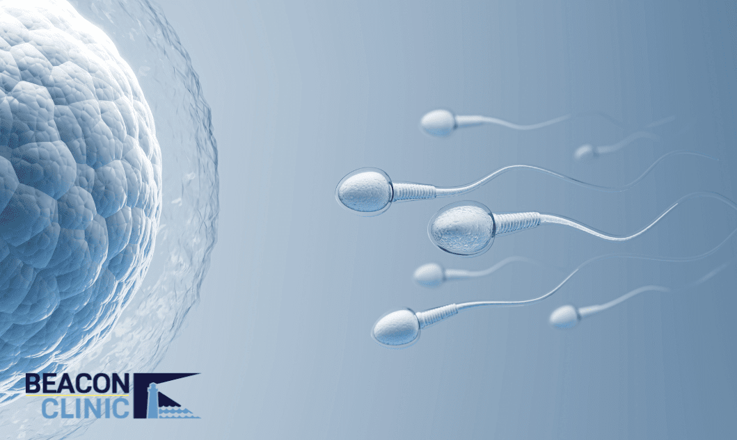 Male Fertility 101- What Affects Sperm Health and How to Improve It